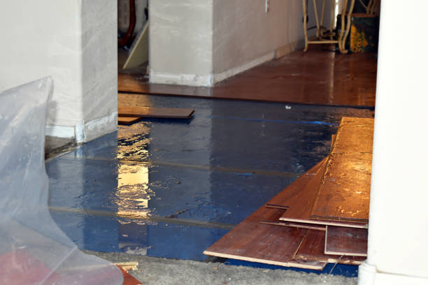 Professional Basement Flood Cleanup technician working in Orchard, CO
